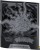 Pokémon TCG Mega Evolution - Pitch Black - Elite Trainer Box (13).jpg